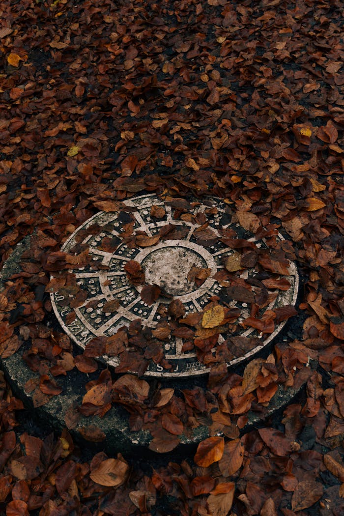 A decorative manhole cover blanketed by fallen autumn leaves, evoking a rustic charm.